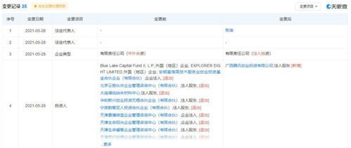 广告剩余软件开发 实现高效广告投放与优化