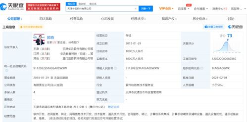 计算机软件咨询 助力企业数字化转型与高效运营