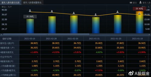 长安汽车（601633） 软件驱动下的机遇与风险分析